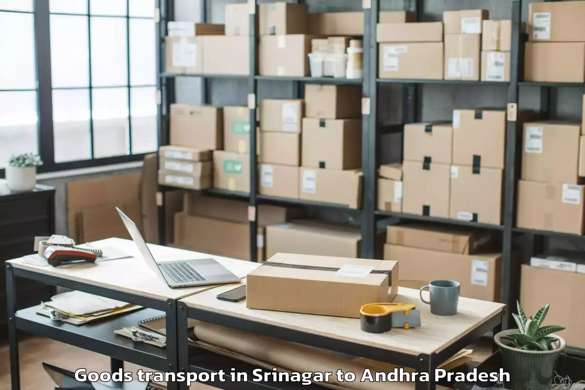 Reliable Srinagar to Nandyal Goods Transport